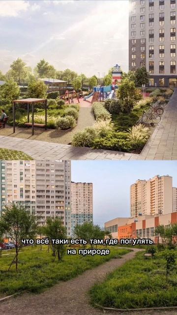 ЖК Цветной город против новостроек в Шушарах #новостройкиспб