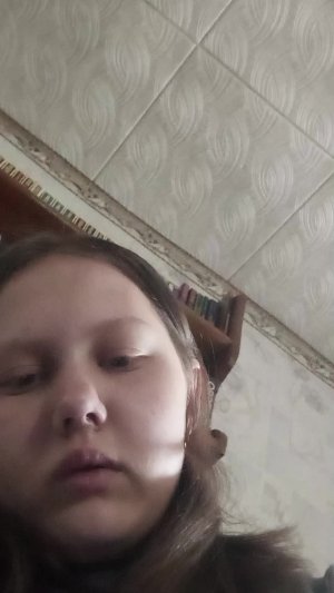 Реборн Илона