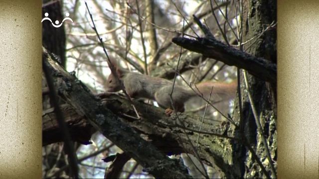 Пасха - самый радостный праздник. Что такое Пасха?