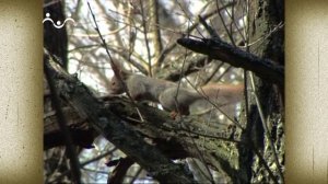 Пасха - самый радостный праздник. Что такое Пасха?