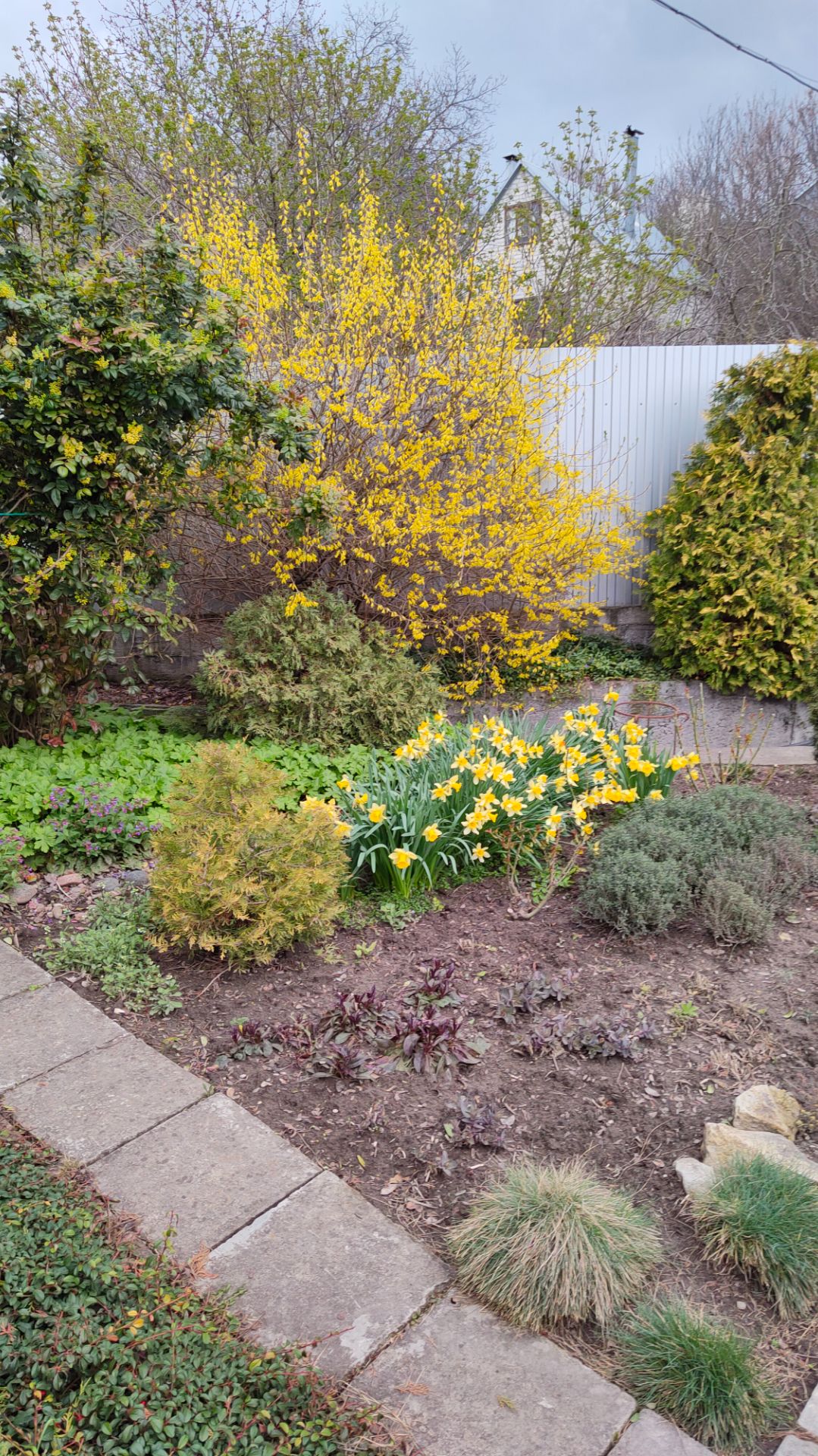 Южный сад после дождя 08.04.2026 г. Пятигорск, зона 6б.