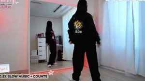 BTS. 2.0. Dance Tutorial