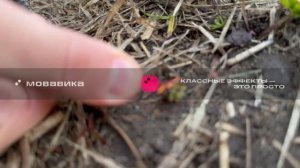 3 эксперимент