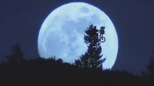 Мерцание звёзд (клип)