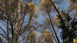 Столкнул в воду и уехал праздновать, а через неделю «покойница» постучала в дверь. Крах изменника!