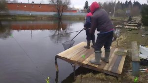 Светлые Горы Форель10 11.04.2026г.