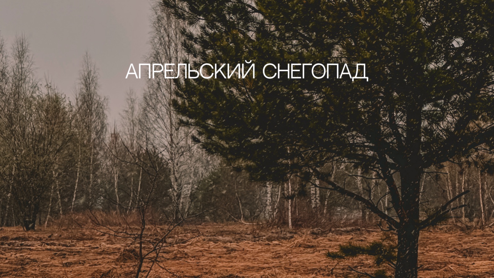 Апрельский снегопад