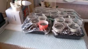 Готовлюсь к Пасхи 🧁🥳