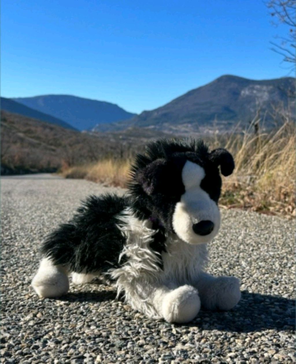 трансляция