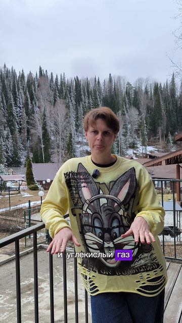 почему важен углекислый газ #энергия #методбутейко #дыхание #аллергия #астма