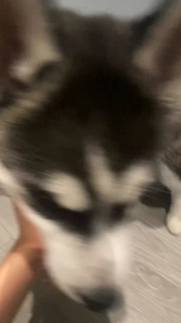 ScreenRecording_04-11-2026 00-15-20_1