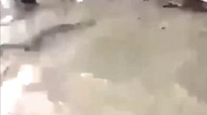 Размыло дамбу в Дагестане