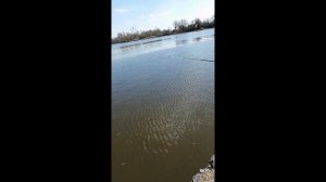 рыбалка на каменном острове.