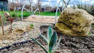 Мои Арт-объекты в саду, новые цветники в процессе создания