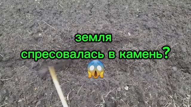 Земля после схода снега