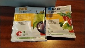 Системные препараты от болезней