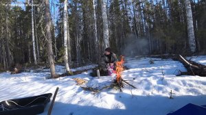 Привал у костра, слушаю звук природы. Собрал весеннюю чагу. 2/2 серия