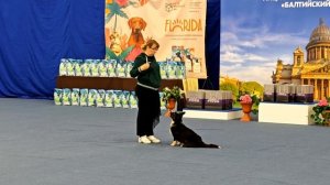 1000018011.mp4Людмила Ейбогина.Танцы с собаками.Санкт-Петербург.22.02.2026.Показательно-выступление.