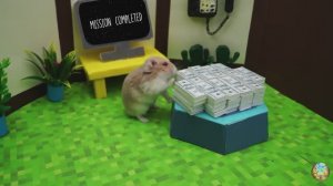 Посмотрите, как этот хомяк пробирается по Сложнейшему лабиринту! 1 серия