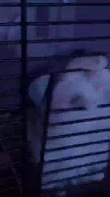 Выпустите его