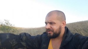 Поход по оврагу, дикие осы, бобры валят вековые деревья