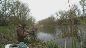 ЧТО ЭТО СОГНУЛО БАМБУК!! РЫБАЛКА НА ПОПЛАВОК И ДОНКИ - КРУПНЫЙ КАРАСЬ,РЫБЕЦ ВЕСНОЙ НА МАЛОЙ РЕКЕ