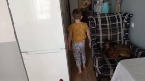 Барнаул /Переделала покупку из wb/