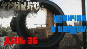 Новичок в Таркове. 1.0. День тридцать шестой. ESCAPE FROM TARKOV