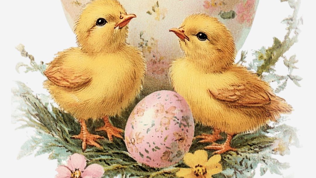 Со светлой Пасхой 🐣.