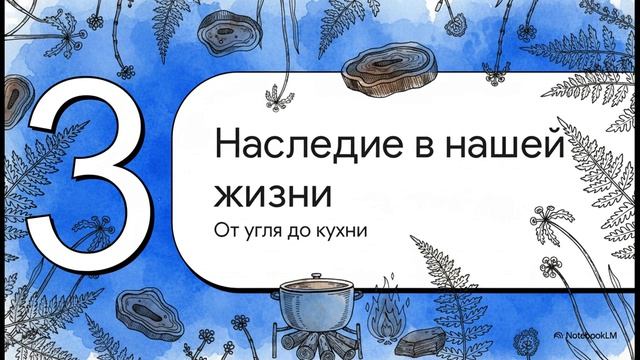Биология 7 класс параграф 7 ОТДЕЛЫ ПАПОРОТНИКОВИДНЫЕ ПЛАУНОВИДНЫЕ ХВОЩЕВИДНЫЕ