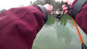 ФОРЕЛЬ резина на крючке Decoy ЕСИНО 03.04.2026