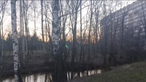 (10.04.2026) Вечерняя прогулка вдоль берега реки Оккервиль 😃