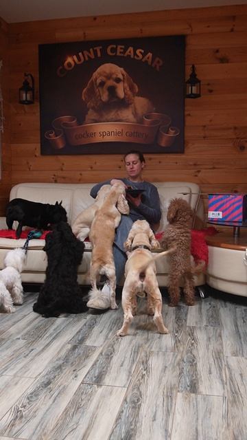 Будешь пиццу?