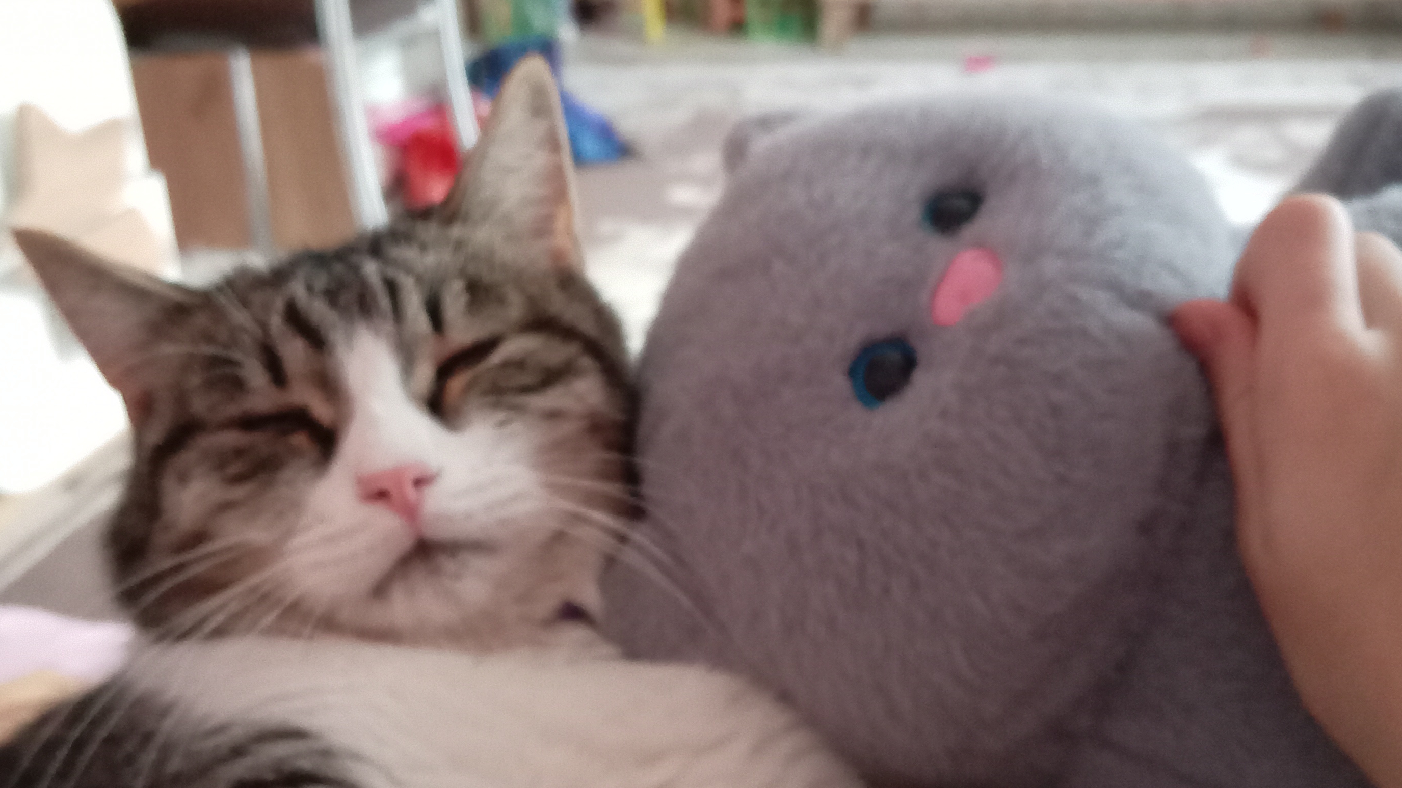 буду экстрасенсом