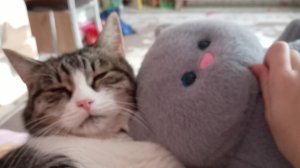 буду экстрасенсом