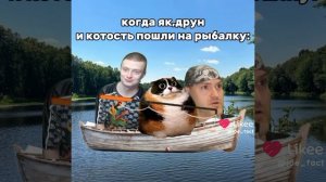 друц, мелл и котость