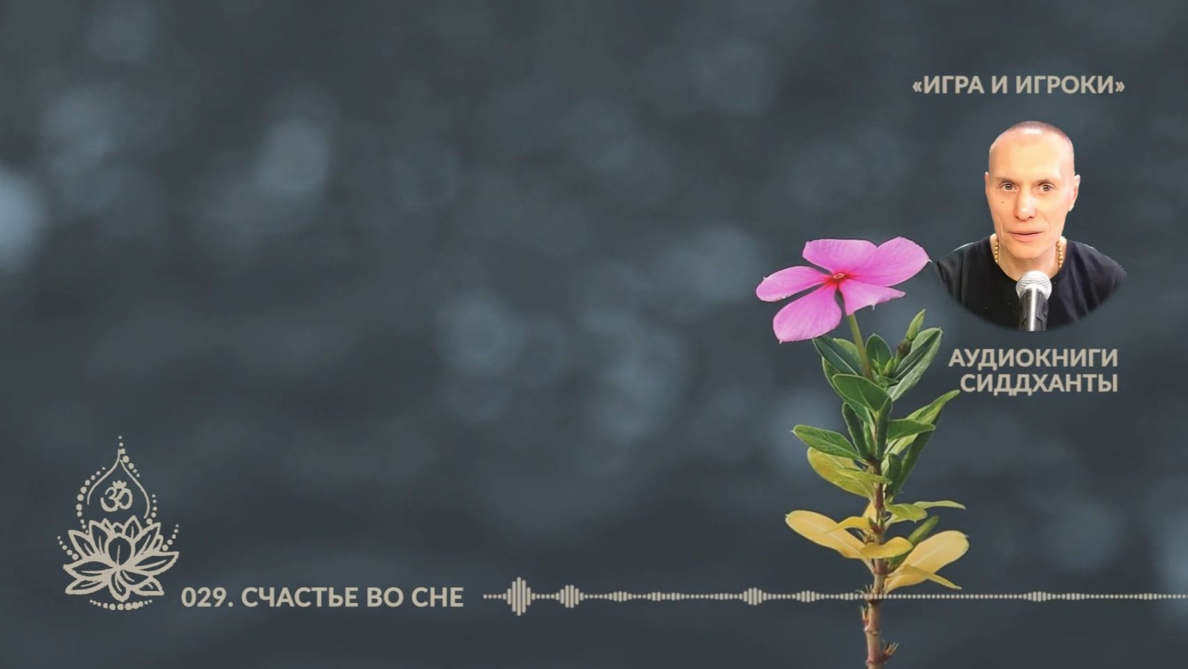 Игра и Игроки. 029. Счастье во сне. Аудиокниги Сиддханты Вячеслава Чернина