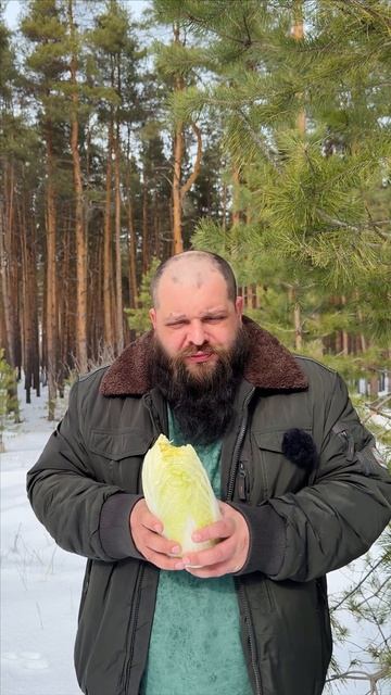 Грибы которые растут зимой!