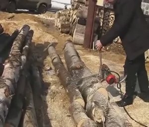 I learn to saw with Victar (electric chain saw Victar ЭПЧ-3 in use)