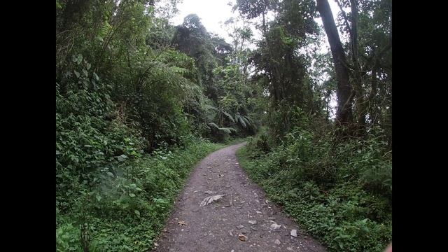 Колумбия. Трекинг по долине Кокора