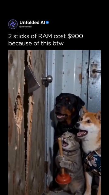 Опасный кот