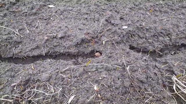 Земля после схода снега