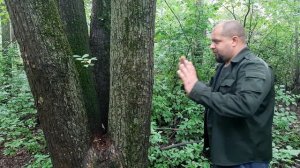 Рукопашный бой против волка, ударная техника