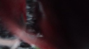 бан бан 6серия(серый) финал