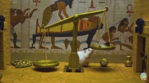 Хомячок разрушает лабиринт, который я построил! 2 часть