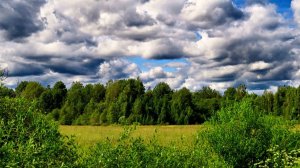 Пасмурно, но тепло ( Июль 2025 года )