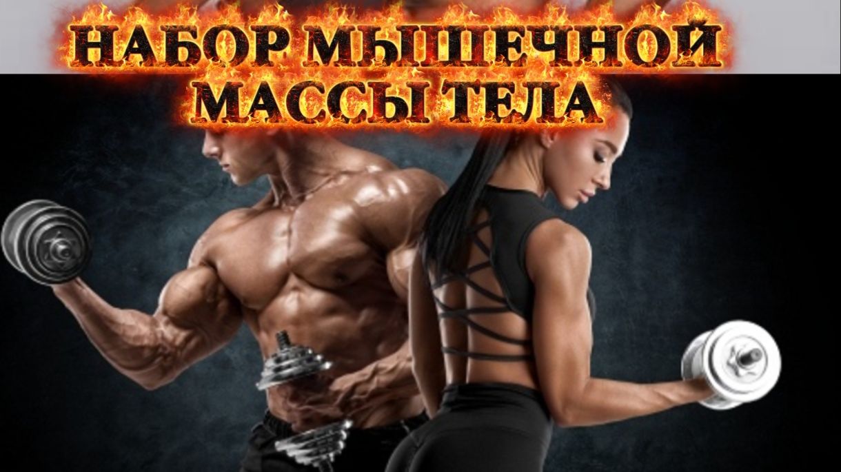 КАК НАБРАТЬ МЫШЕЧНУЮ МАССУ ТЕЛА? ПОЧЕМУ ВЕС СТОИТ НА МЕСТЕ ПОСЛЕ ТРЕНИРОВОК?