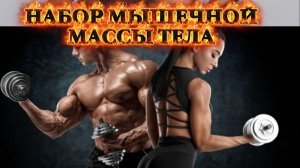 КАК НАБРАТЬ МЫШЕЧНУЮ МАССУ ТЕЛА? ПОЧЕМУ ВЕС СТОИТ НА МЕСТЕ ПОСЛЕ ТРЕНИРОВОК?