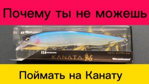 Воблеры Мегабасс Каната / Поинтер
