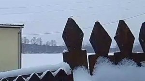 Отслужить тебе,парень,отлично и вернуться скорее домой!!!